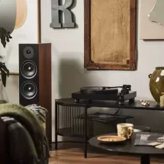 ARGON AUDIO FORUS 55 WALNUT Grīdas akustiskā sistēma