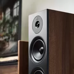ARGON AUDIO FORUS 55 WALNUT Grīdas akustiskā sistēma
