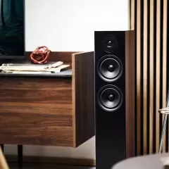 ARGON AUDIO FORUS 55 WALNUT Grīdas akustiskā sistēma