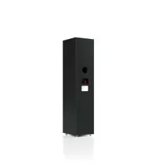 PYLON AUDIO PEARL 20 BLACK ASH Grīdas akustiskā sistēma