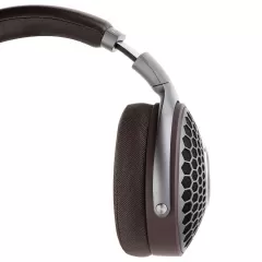 FOCAL HADENYS BROWN AUSTIŅAS