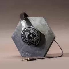 FOCAL HADENYS BROWN AUSTIŅAS