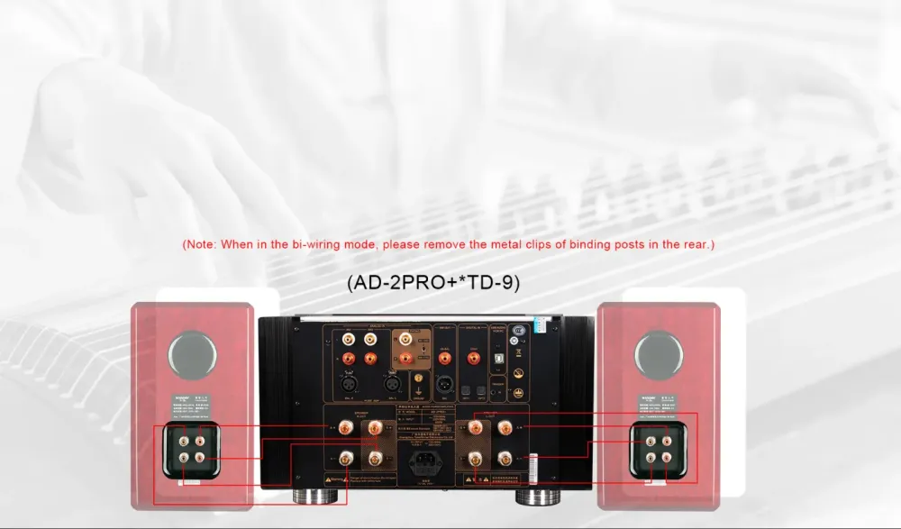 TONEWINNER AD-2PRO+ BLACK/SILVER STEREO PASTIPRINĀTĀJS