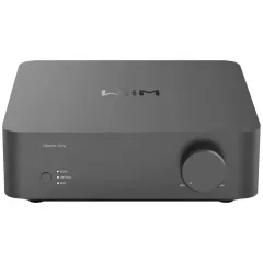 WIIM VIBELINK AMP GRAY STEREO PASTIPRINĀTĀJS