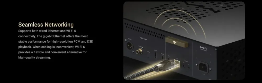 MATRIX AUDIO MS-1c SILVER TĪKLA ATSKAŅOTĀJS