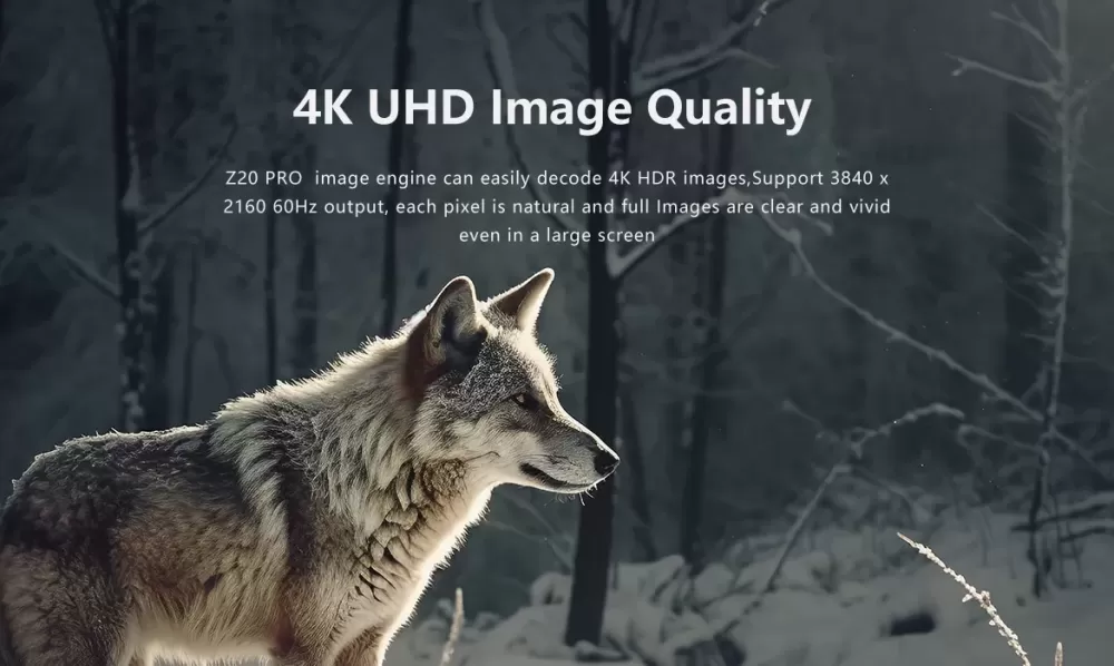 ZIDOO Z20 PRO 4K BLACK UHD MEDIA PLAYER TĪKLA ATSKAŅOTĀJS