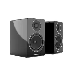 ACOUSTIC ENERGY AE300 Plaukta akustiskā sistēma