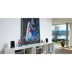 DALI FAZON MIKRO Black Lacquer Plaukta akustiskā sistēma
