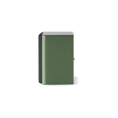 FOCAL ARIA EVO X N°1 MOSS GREEN HIGH GLOSS Plaukta akustiskā sistēma