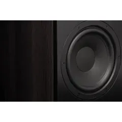 HECO AURORA XT 300 BLACK/OAK Plaukta akustiskā sistēma