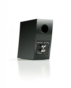 PYLON AUDIO JASPER MONITOR 18 LACQUER HIGH GLOSS BLACK Plaukta akustiskā sistēma