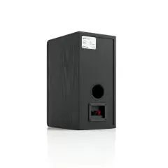 PYLON AUDIO OPAL MONITOR BLACK ASH Plaukta akustiskā sistēma