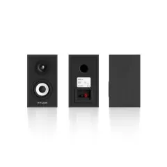 PYLON AUDIO PEARL SAT BLACK ASH Plaukta akustiskā sistēma