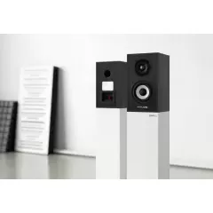 PYLON AUDIO PEARL SAT BLACK ASH Plaukta akustiskā sistēma