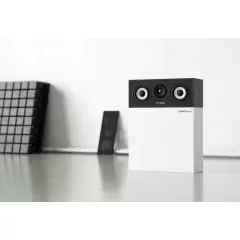 PYLON AUDIO PEARL CENTER BLACK ASH Centrālā akustiskā sistēma