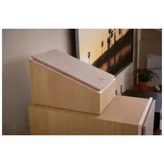 JBL STAGE 240H Dolby Atmos® Sienas akustiskā sistēma