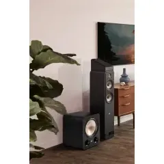 POLK AUDIO SIGNATURE ELITE SUB ES12 BLACK Sabvūferis