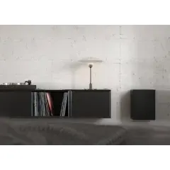 SYSTEM AUDIO SILVERBACK SUB SOLO BLACK SATIN Sabvūferis