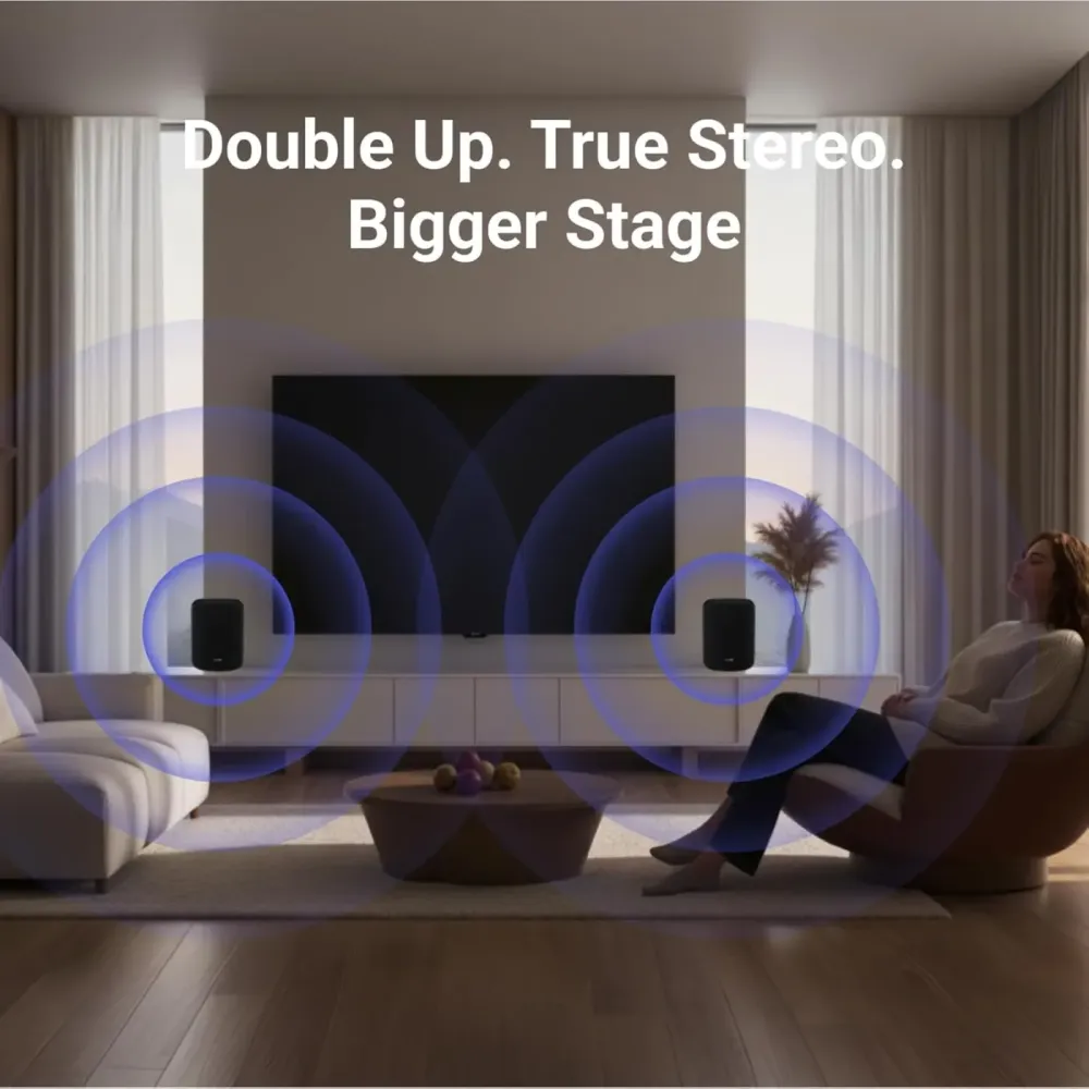 WiiM SOUND LITE BLACK Bezvadu akustiskā sistēma