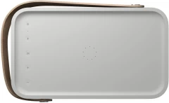 BANG & OLUFSEN B&O BEOLIT 20 Grey Mist Bezvadu akustiskā sistēma
