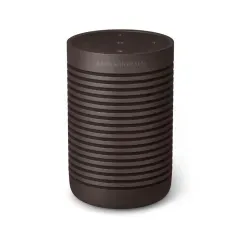 BANG & OLUFSEN B&O BEOSOUND EXPLORE CHESTNUT Bezvadu akustiskā sistēma