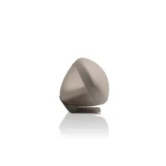 BOWERS & WILKINS ZEPPELIN PRO EDITION SOLAR GOLD Bezvadu akustiskā sistēma