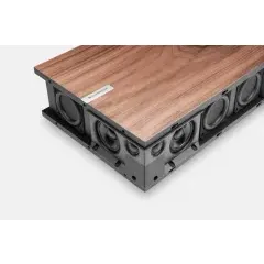 CAMBRIDGE AUDIO EVO ONE BLACK All-in-One Bezvadu akustiskā sistēma