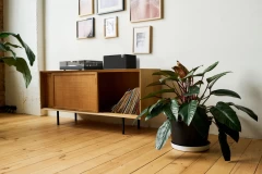 KLIPSCH THE THREE PLUS EBONY Bezvadu akustiskā sistēma