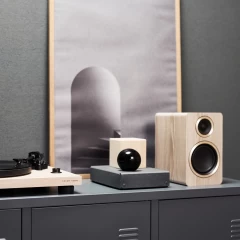 ARGON AUDIO FENRIS A4 Ash Aktīvā akustiskā sistēma