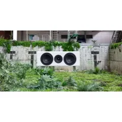 SYSTEM AUDIO LEGEND 10.2 SILVERBACK WHITE SATIN Aktīvā akustiskā sistēma
