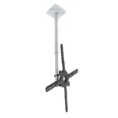 ERARD CEILING MOUNT 30 TV sienas stiprinājums / kronšteins
