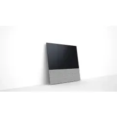CANVAS 55