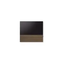CANVAS 55
