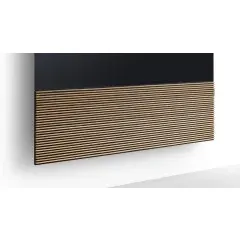 CANVAS 55