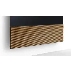CANVAS 55