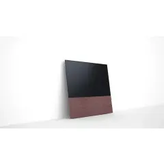 CANVAS 55