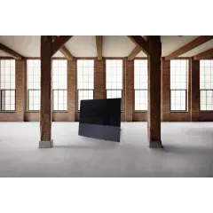 CANVAS 65
