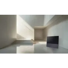CANVAS 65