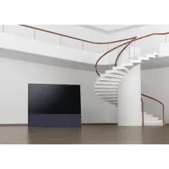 CANVAS 65