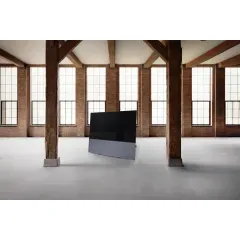 CANVAS 65
