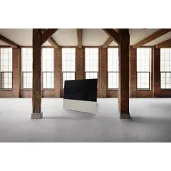 CANVAS 65