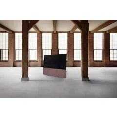 CANVAS 65