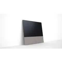 CANVAS 65