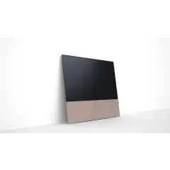 CANVAS 65