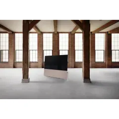 CANVAS 65