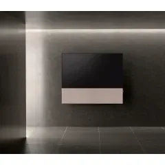 CANVAS 65