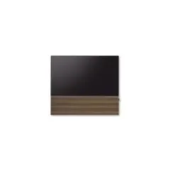 CANVAS 65