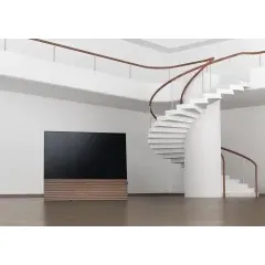 CANVAS 65