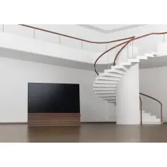 CANVAS 65